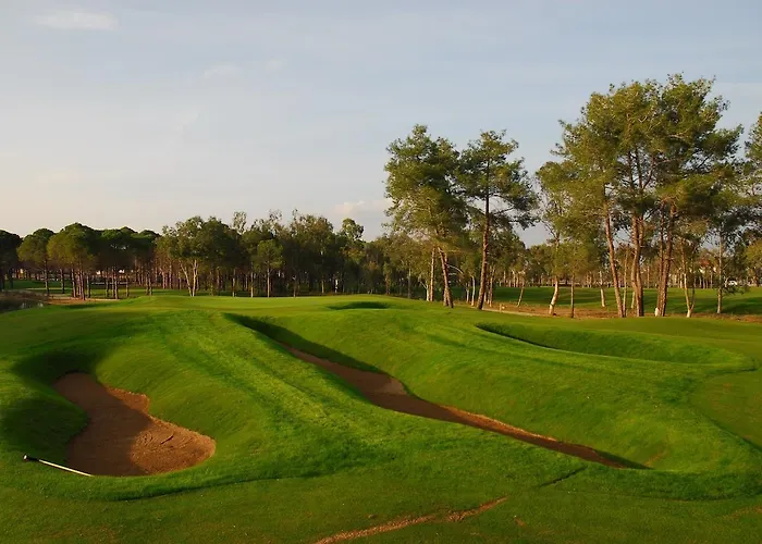 Sueno Golf بيليك